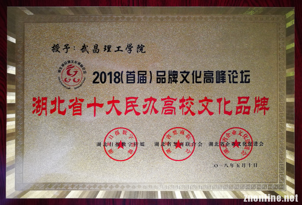 武昌理工学院被认定为“湖北省十大民办高校文化品牌”并位居榜首(图2)