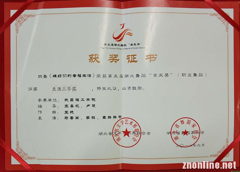 理工学子喜获第五届湖北舞蹈“金凤奖”（职业舞蹈）表演类三等奖(图5)